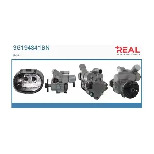36194841BN REAL