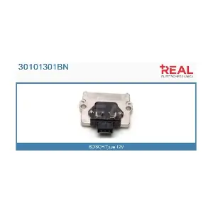 30101301BN REAL