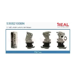 REAL 53082100BN