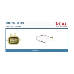 8025531FBN REAL