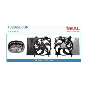 40282900BN REAL