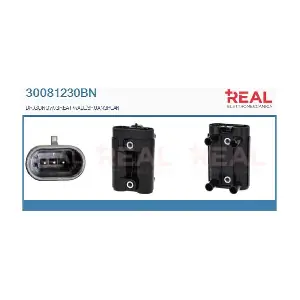 30081230BN REAL