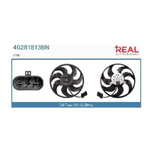 40281813BN REAL