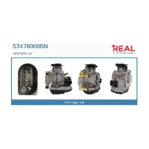 53476000BN REAL