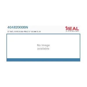 REAL 40482000BN