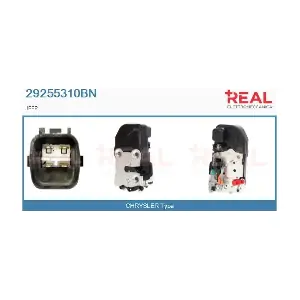29255310BN REAL