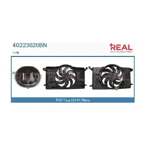 REAL 40223620BN