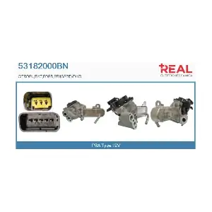 53182000BN REAL