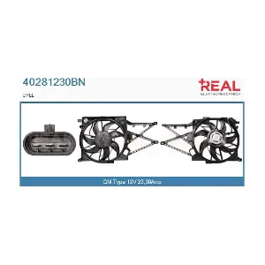 40281230BN REAL