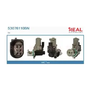 REAL 53076110BN