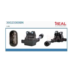 30023300BN REAL