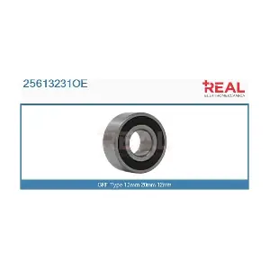 25613231OE REAL