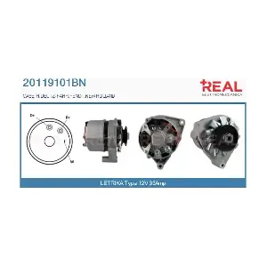 REAL 20119101BN