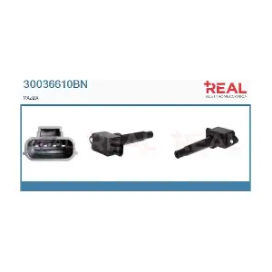 30036610BN REAL