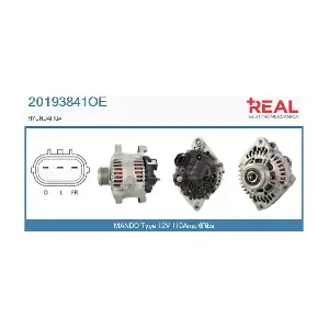 REAL 20193841OE