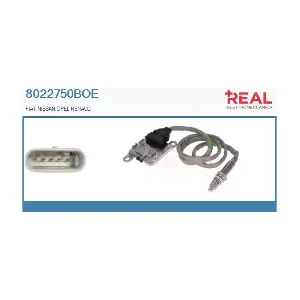 8022750BOE REAL
