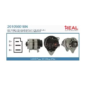 REAL 20105601BN