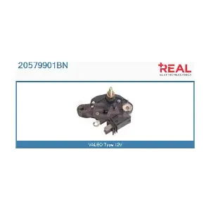 20579901BN REAL