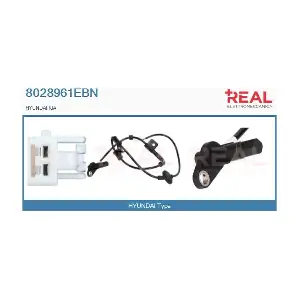 8028961EBN REAL