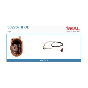 802767HFOE REAL