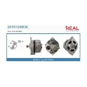 REAL 20101246OE