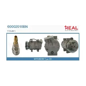 60002010BN REAL
