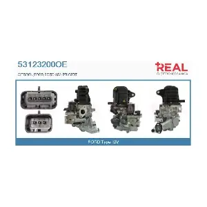 REAL 53123200OE