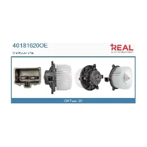 40181620OE REAL