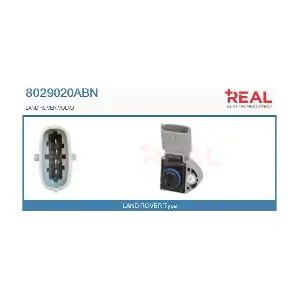 8029020ABN REAL