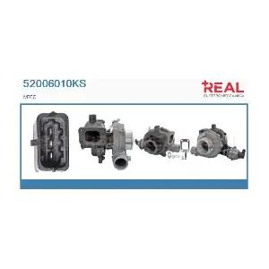 52006010KS REAL
