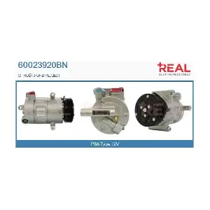 60023920BN REAL