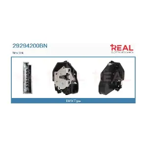 29294200BN REAL