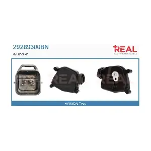 29289300BN REAL