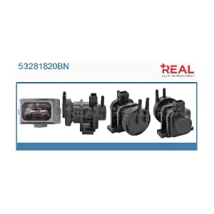 53281820BN REAL