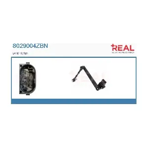 8029004ZBN REAL