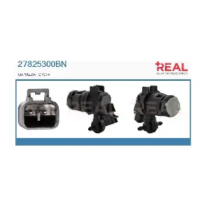 27825300BN REAL