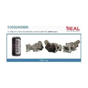 REAL 53082400BN