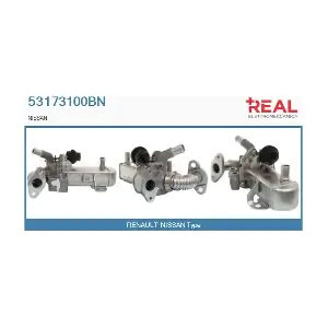 53173100BN REAL