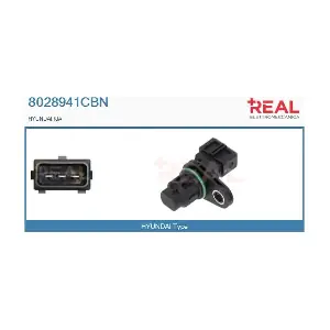 8028941CBN REAL