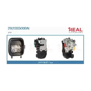 29255500BN REAL