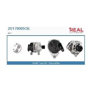 20179665OE REAL