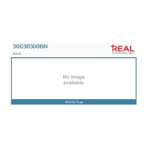 30030300BN REAL
