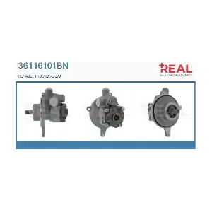 36116101BN REAL