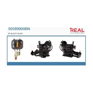30089900BN REAL