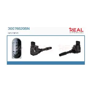 30076620BN REAL