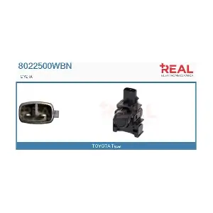 8022500WBN REAL
