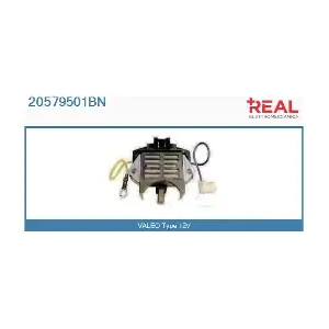 REAL 20579501BN