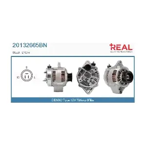 REAL 20132665BN