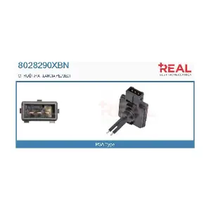 8028290XBN REAL