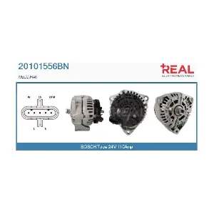 REAL 20101556BN